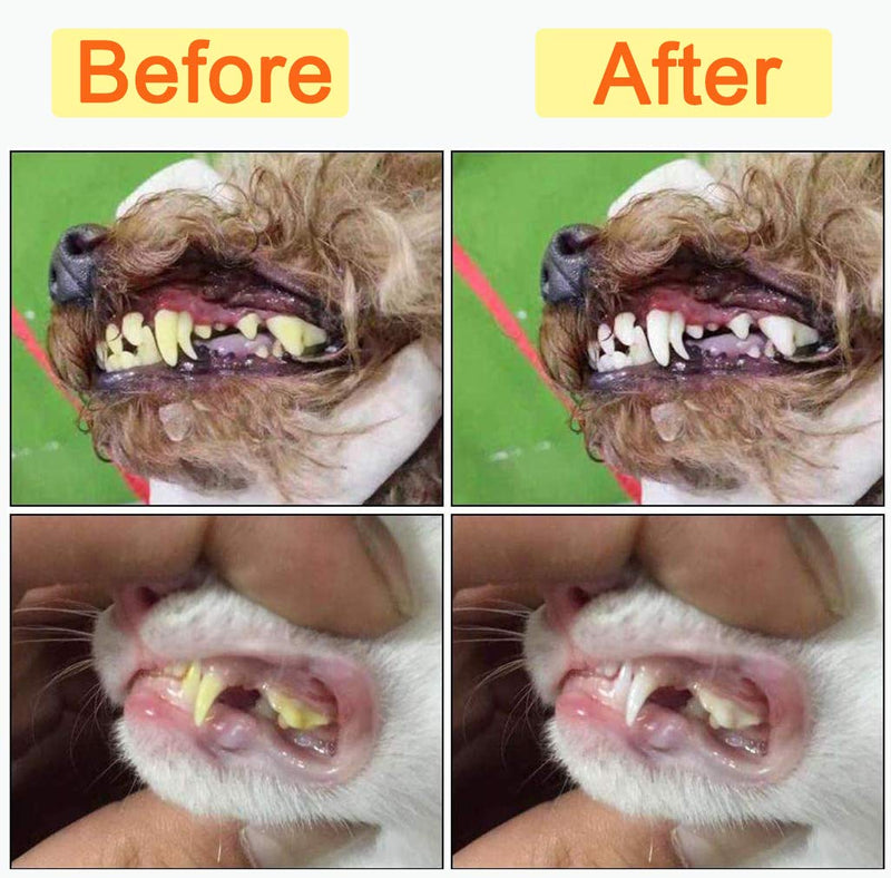 10 Pack Pet Dog Toothbrush, 2 Triple Head Pet Toothbrushes 3 Double Head Tooth Brush 5 Pack Finger Rubber Toothbrushes, Multi-Angle Dental Cleaning Brushes for Dog Cat Oral Dental Health - PawsPlanet Australia