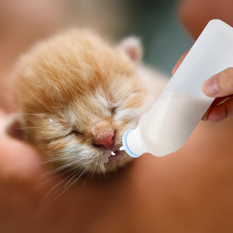 5Pack Kitten Bottle for Nursing Puppy Milk Kitten Bottles Feeding Kit Silicone Nipple for Newborn Pets Kittens, Puppy,Squirrel (Blue) - PawsPlanet Australia
