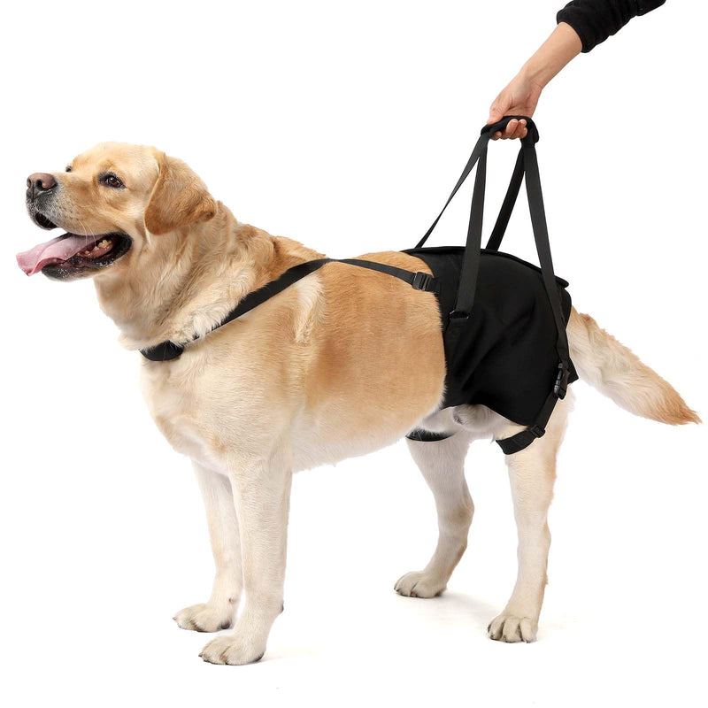 NOYAL Dog Lift Sling for Large Dogs – Hind Leg Support Harness for Senior, Injured, Disabled Dogs, Rear Leg Mobility Aid, Padded Handle for Stairs, Car, Walk Black Small