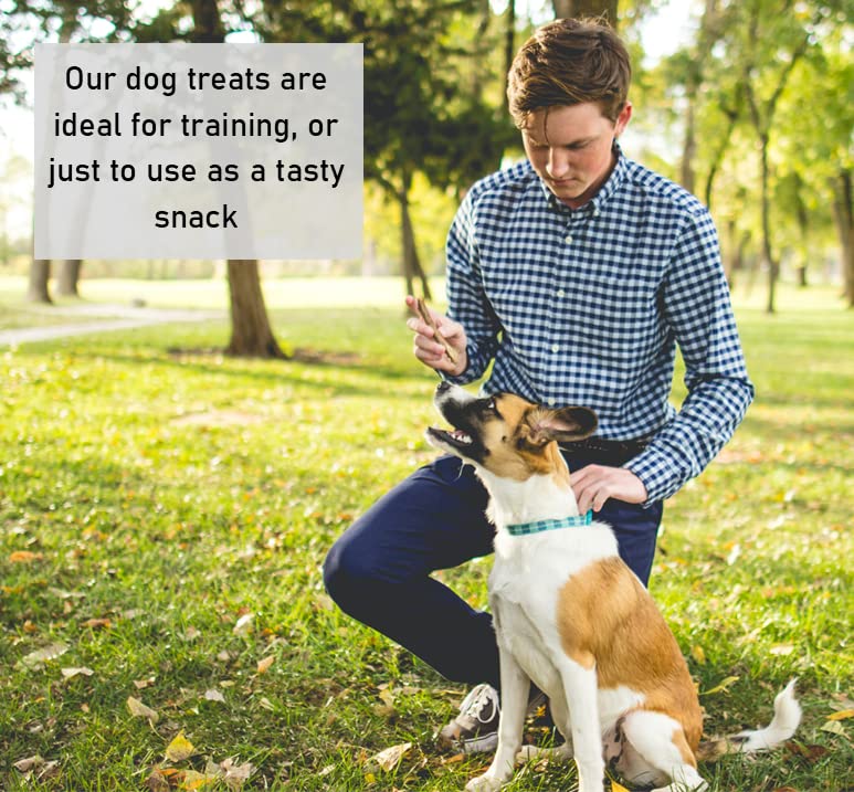 50 x Mini Toothbrush Vegetarian Dog Treats Chews 100% Meat-Free 100% Natural Vegetable Toothbrushes LODC 50 count (Pack of 1)