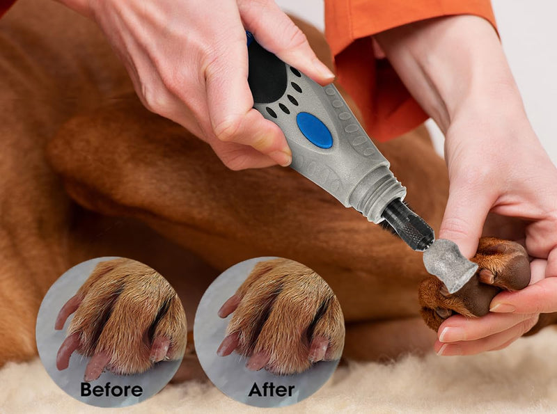 for Dremel Dog Nail Grinder - Diamond Bits Attachment for Dog Nail - 1/8'' Painless Nail Grinder Bits Won't Pull Hair or Get Hot for Large Medium Small Dogs and Cats Paws Grooming - PawsPlanet Australia