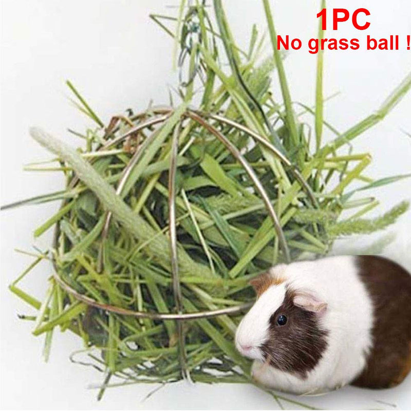 UXELY Metal Food-Ball, Guinea Pig Hay Feeder, 8/13cm Feed Ball for Rodents, Rabbit Grass Manger Holder Feeding Dispenser for Bunny, Stainless Steel Frame - PawsPlanet Australia