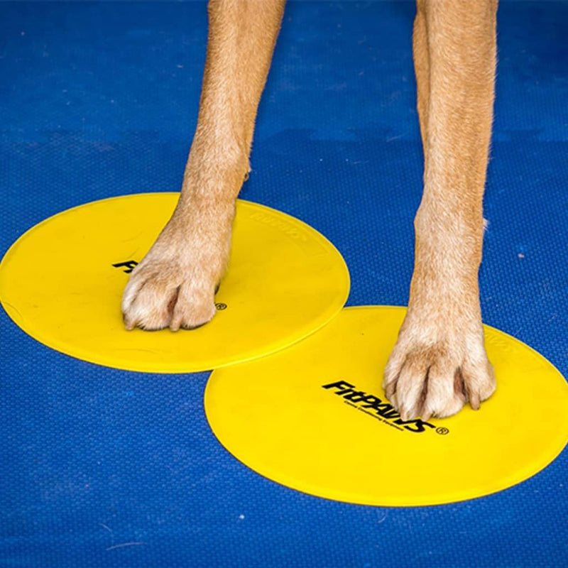 FitPAWS Targets - PawsPlanet Australia