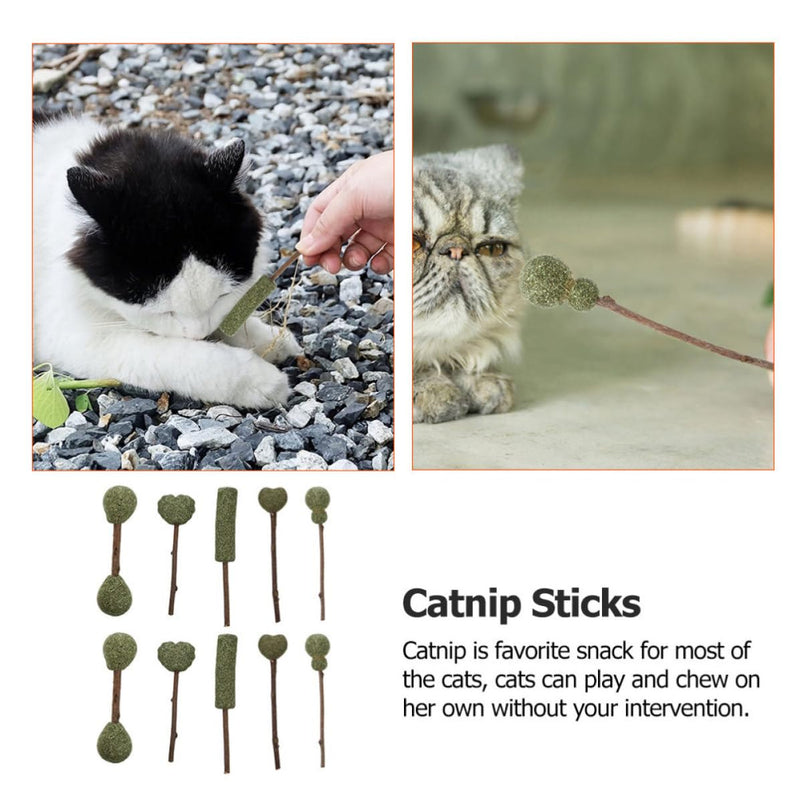 Luxshiny 10 Pieces Edible Catnip Dental Care Sticks Cat Lozenges for Teeth Cleaning and Loneliness for Indoor Cats Random Style