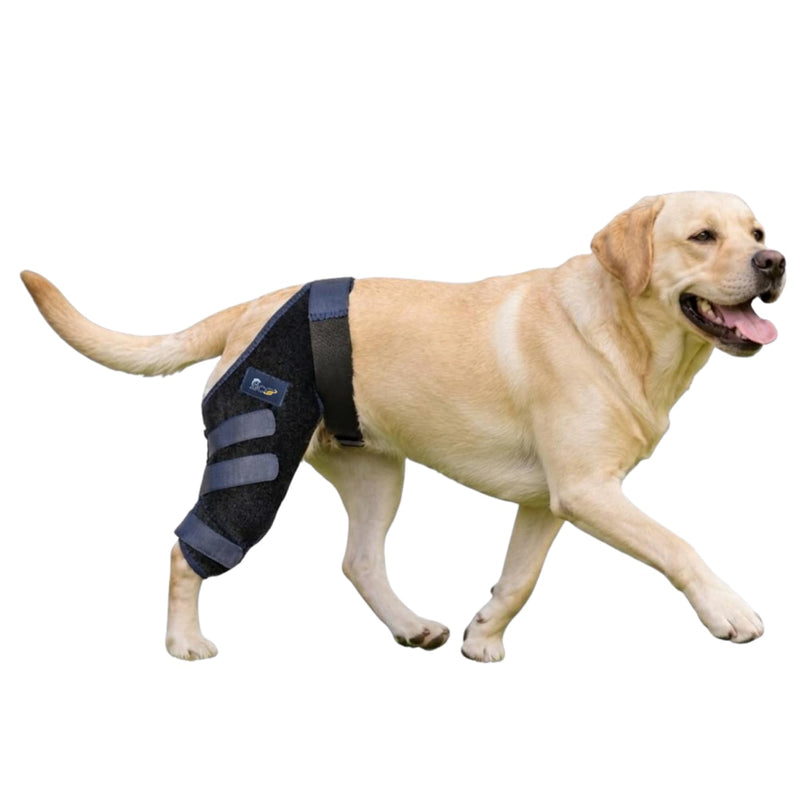 Dog Knee Brace for Hind Leg Support - Left Leg, CCL ACL Brace for Dogs, Vet Approved, Adjustable Orthopedic Support for Arthritis, Ligament Injuries & Post-TPLO Surgery Recovery (Small) Small