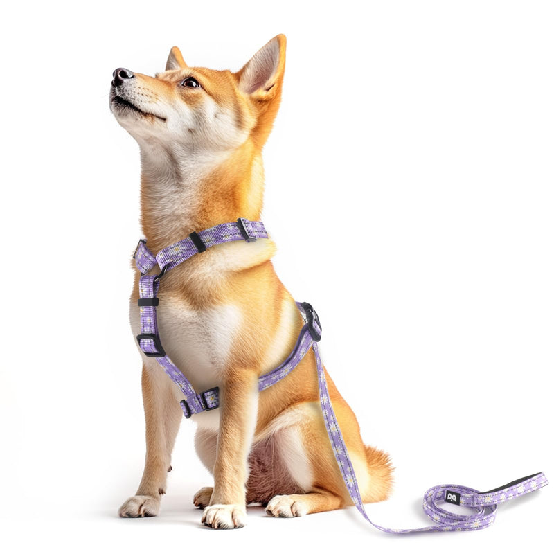 Dog Harness Leash Set, No Pull Adjustable Halter Cute Comfort Padded Handle for Medium Sized Large Small Dogs Walking Training Running with Reflective（XSmall,Purple） Purple XSmall - PawsPlanet Australia