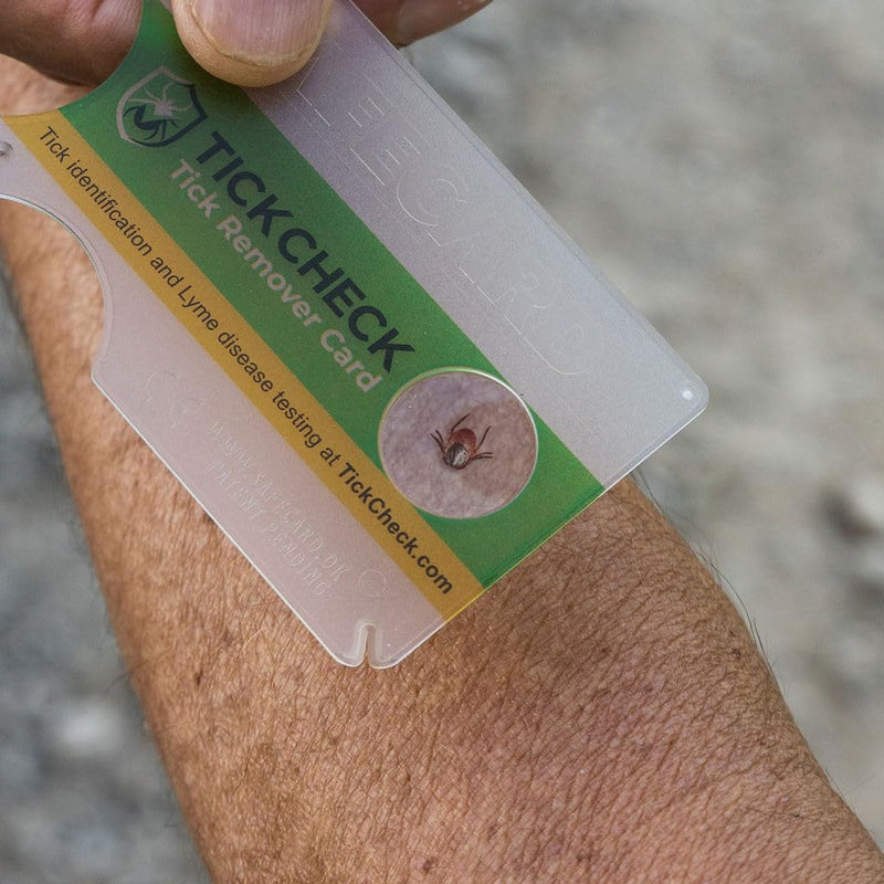 Tick Remover Card - Wallet Sized Tick Removal Tool with Free Tick ID Card & Testing Information - for People, Dogs, Cats (1 Pack) 1 - PawsPlanet Australia