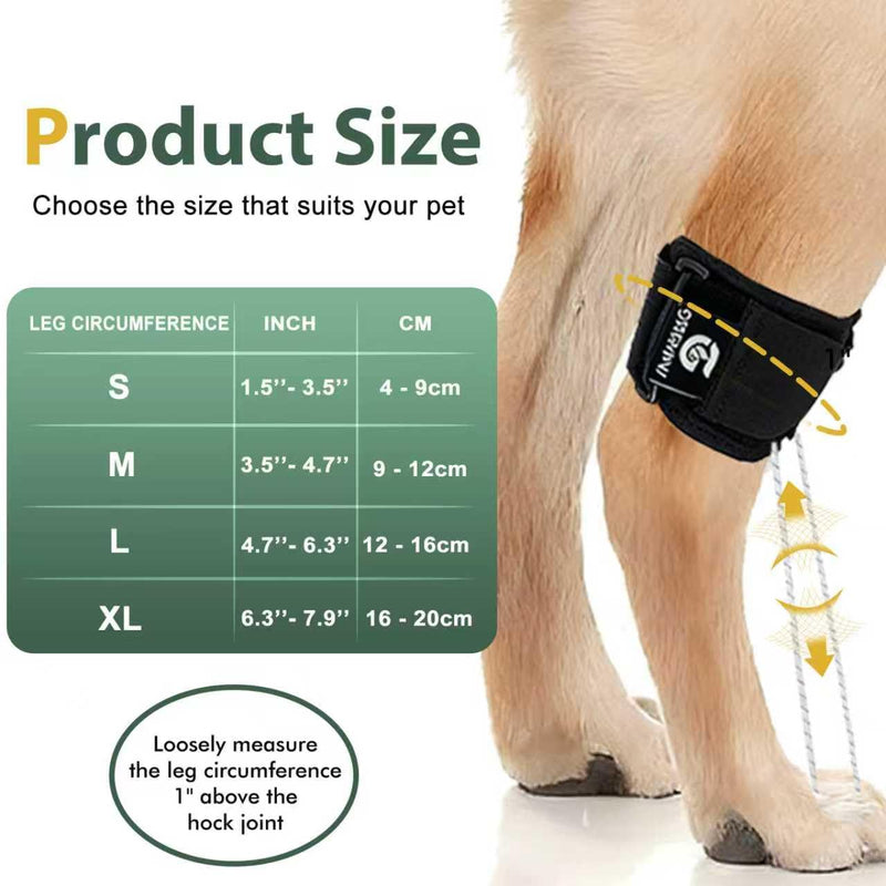 Dog Rear Leg Support Brace for Foot Drop, Canine Knuckling Prevention, Toe Dragging Assistance L