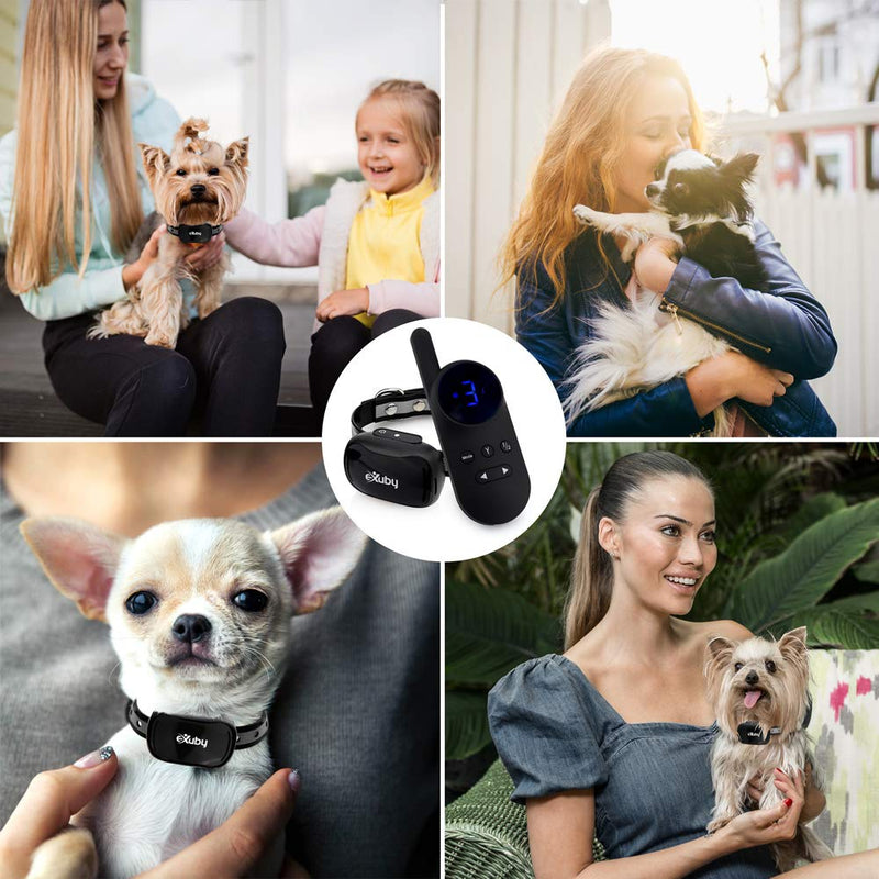 eXuby - Tiny Shock Collar for Small Dogs 5-15lbs - Smallest Collar on The Market - Sound, Vibration, & Shock - 9 Intensity Levels - Pocket-Size Remote - Long Battery Life - Water-Resistant - Black - PawsPlanet Australia