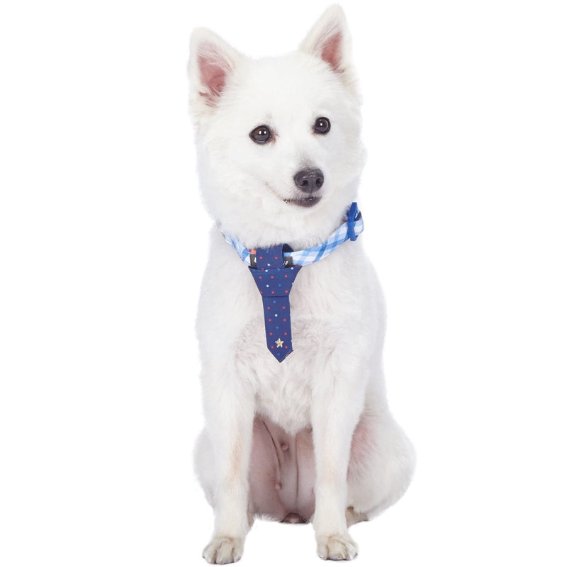 Blueberry Pet 4 Patterns Blue Hue Scottish Plaid Style Adjustable Tie Dog Collar, Medium, Neck 14.5"-20" Polka Dot Tie + Collar - PawsPlanet Australia