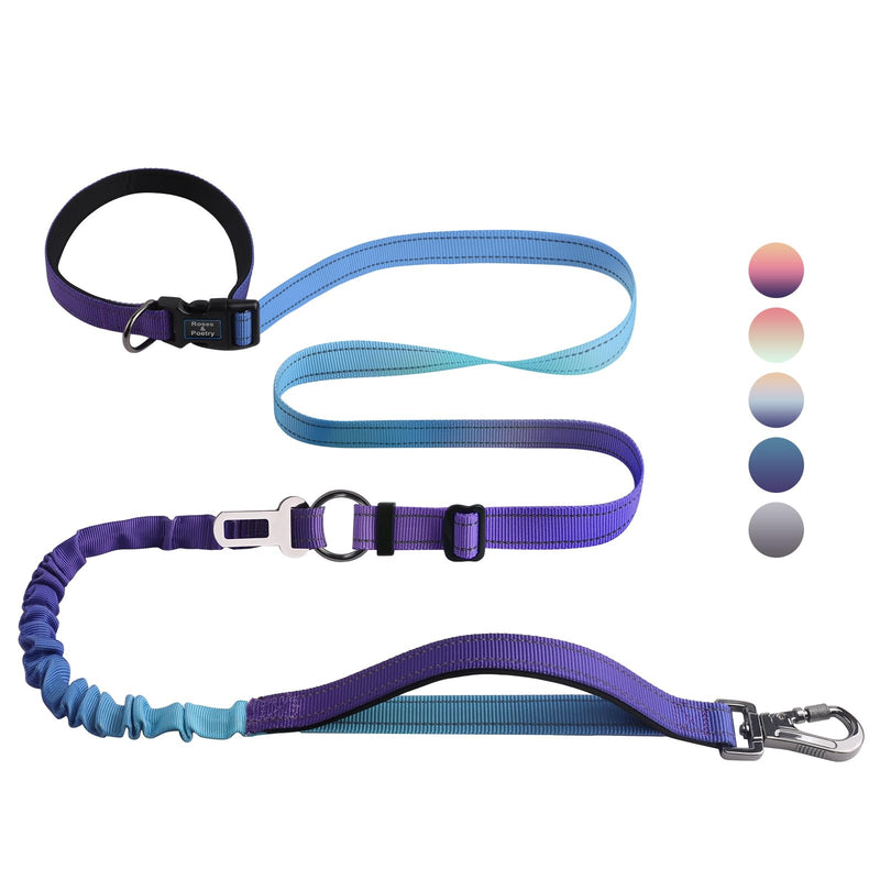 Roses&Poetry Hands Free Dog Leash Heavy Duty,No Pull Bungee Dog Running Waist Leash for Walking Training with Car Seatbelt 4-6FT Violet