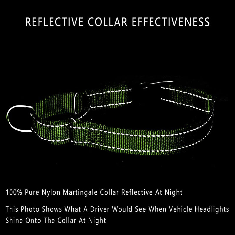 Plutus Pet Reflective Martingale Collar with Buckle - Durable and Adjustable Training Collar for No Pulling, Dog Choker Collar for Small Medium Large Dogs, Bright Green, M M:16"-20" - PawsPlanet Australia