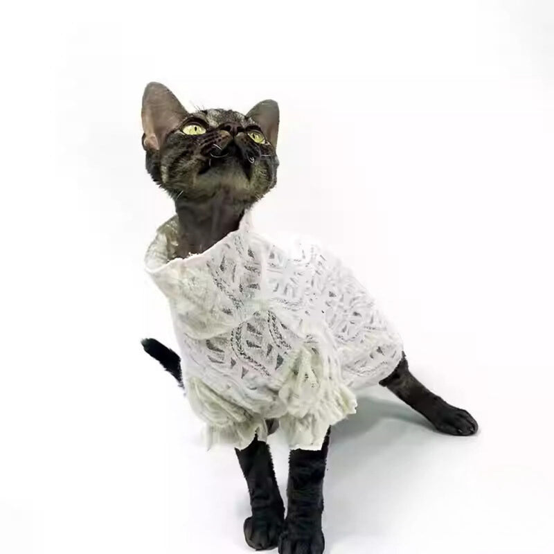 Cat Soft Lace Turtleneck Shirt, Elegant Skin-Friendly Warm Sweater Pullover Clothes for Hairless Sphynx, Devon & All Indoor Kittens (M) White M - PawsPlanet Australia