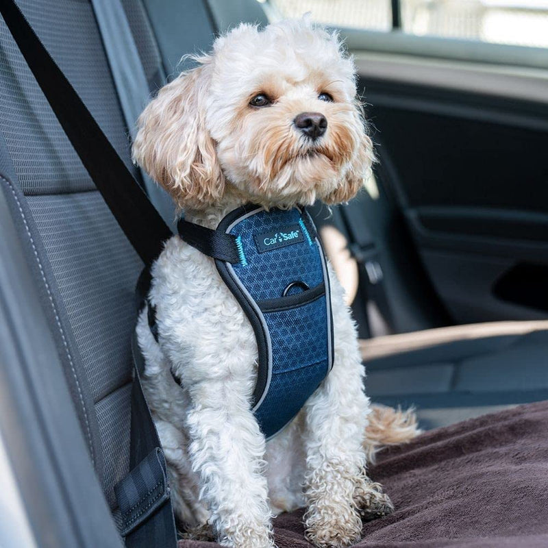 CarSafe Crash Tested Dog Safety Harness - Crash Tested to 32Kg/70lbs, Safely Secure Dog in The Car, Comfortable and Padded Design. for Toy, Small, Medium and Large Dogs (Size X-Small) X Small - PawsPlanet Australia