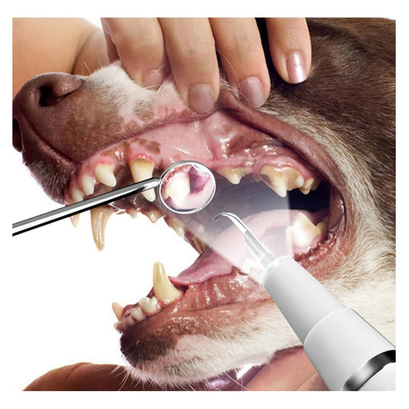Dog Teeth Cleaning Kit | Pet Tooth Cleaner | Dental Care Tartar Plaque Remover for Dogs and Cats (Red)
