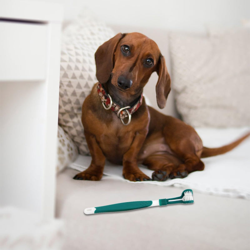 TEHAUX Toothbrush PP Material 2-Pack for Dogs and Cats with Triple Head for Teeth Cleaning Ergonomic Long Handle Effectively Removes Tartar