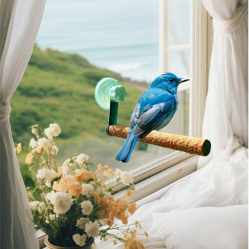 6 Pack Suction Cup Accessory Sets for Brid Perches Brid Stand Sticks Stand Toy Wood Platform for Parrot Parakeet Cockatiel Budgie Suction Cup for Window Bath Shower Car Travel Wall Outdoor Indoor 6 pack - PawsPlanet Australia