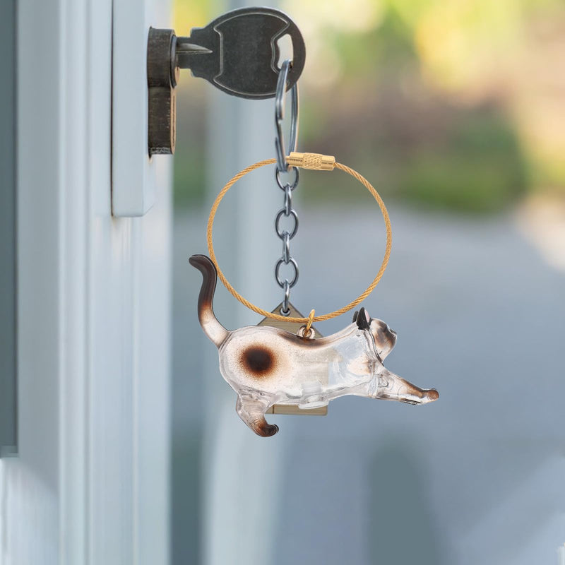PLAFOPE Cat Hair Keychain with ABS Organizer, Transparent Storage Box for Pet Hair, Portable and Functional, Suitable for Home and Office Use, Ideal for Cat Lovers
