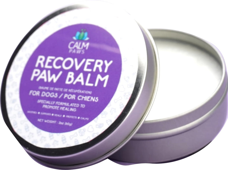 Recovery Healing & Calming Paw Balm - PawsPlanet Australia