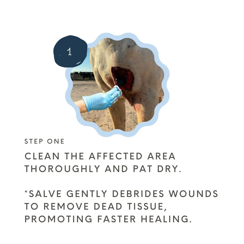 Wound Salve - For Horses, Pets, Livestock & People - Calendula, Shields Abrasions, Stops Infections, Promotes Scabbing, Reduces Inflammation & Scarring, Vet-Approved - Bev's Magic Salve (12 oz) 12 oz