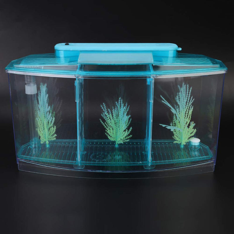 Acrylic Fish,Bowl, Aquarium Fish LED Acrylic Three Divisions Breeding Isolation Box for Small Fishes (Blue) Blue