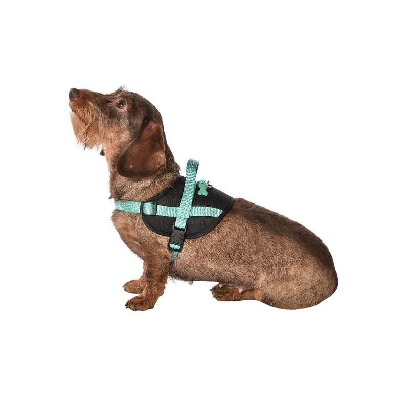 Bobby Easy Safe - Dog harness with tag, Dog harness for Medium Small Large Dogs in nylon, Safe, Comfortable, Reflective, brown, 39-50x1,6 CM