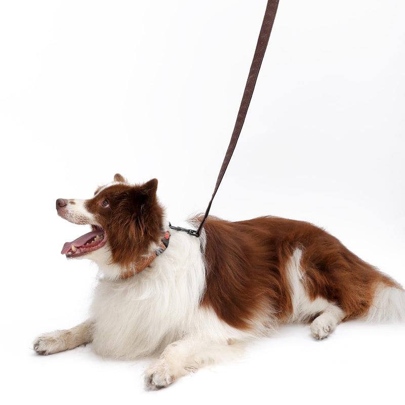 Dog Collar and Leash Set,Adjustable Durable Dog Collars with Lock Buckle,Soft Leather Pet Collars for Medium,Large Dogs,Mocha mocha - PawsPlanet Australia
