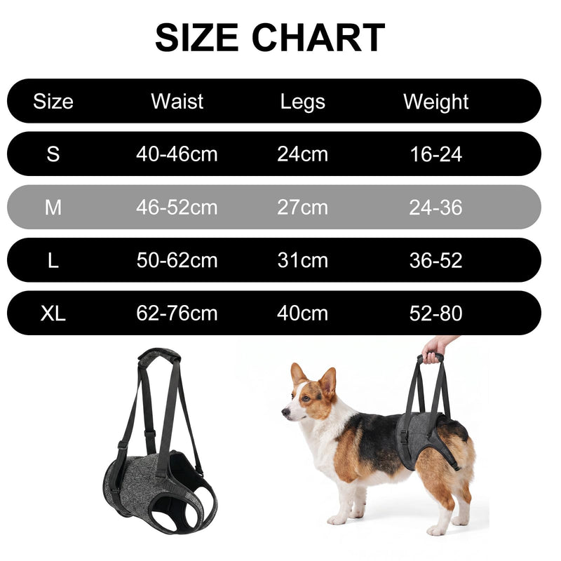 Adjustable Dog Lifting Harness | Hip Support Sling Arthritis Dog Harness Disabled Dog Sling Elderly Dog Lifting Strap | Fits Small Medium Big Breeds | Padded Straps for Walks Stairs Car Rides Rehab(M) M