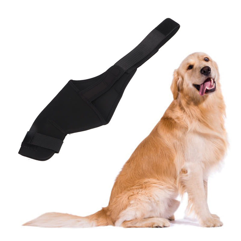 Qcwwy Dog Knee Braces for Hind Leg, Dog Rear Leg Orthotics for Dogs with ACL Kneecap Dislocation, Arthritis, Breathable, Comfortable Dog Joint Protection (M Right Leg)