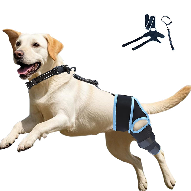 Adjustable Dog ACL Knee Brace for Hind Leg Support, Cruciate Ligament Recovery with Collar Fastening Belt- Extra Stabilizers, Comfortable Wrap & Straps (Blue, S) Single leg guard