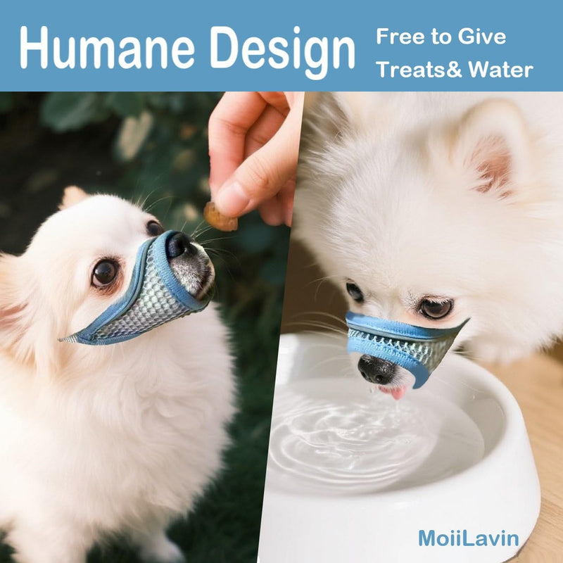 Dog Muzzle for Small Medium Dogs to Prevent Biting for Brachycephalic Dogs with Short Snout,Chihuahua Pom Shih Tuz,Soft Breathable Lightweight Mesh,Open Front,for Grooming Vet Visits (Summer Blue, XS) Summer Blue XS Snout (5.3"- 5.9") - PawsPlanet Australia