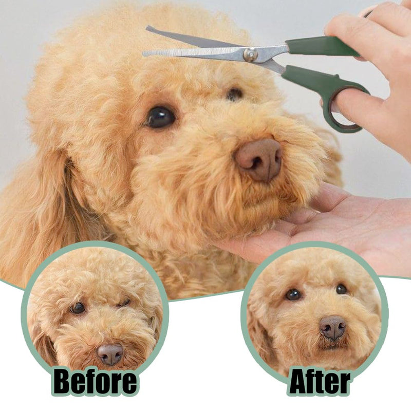 2 PCS Pet Grooming Scissors 2 Sizes Dog Hair Scissors Professional Pet Grooming Shears with Safety Round Tips for Dog Cat Body Ear Nose Face Paw Facial Fur Trimming - PawsPlanet Australia
