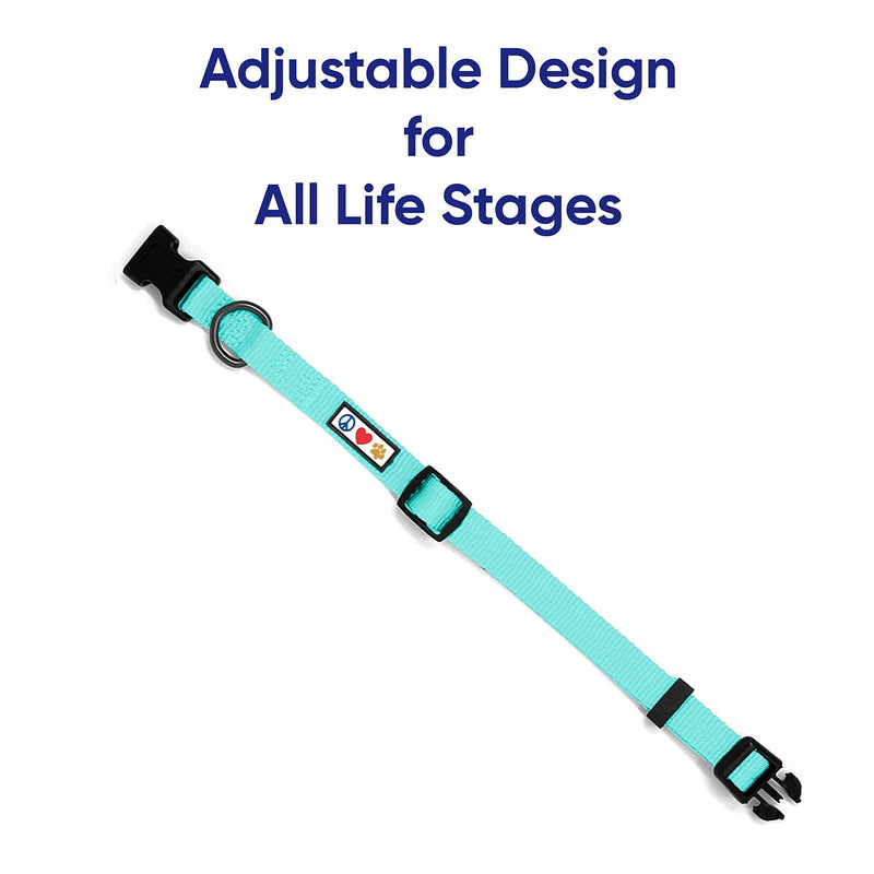 Pawtitas Value Bundle Set | Small Step in Dog Harness + Small Dog Collar + Extra Small/Small 6ft Dog Leash - Teal Set - PawsPlanet Australia
