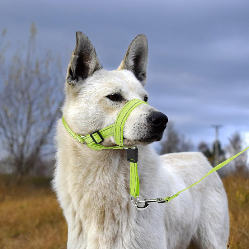 Candofly Dog Headcollar - Adjustable Dog Head Halter Reflective Head Collar Pet No-Pulling Collar for Easier Walk (Green, Large) Large (Snout 7.9"-17.3") Green - PawsPlanet Australia
