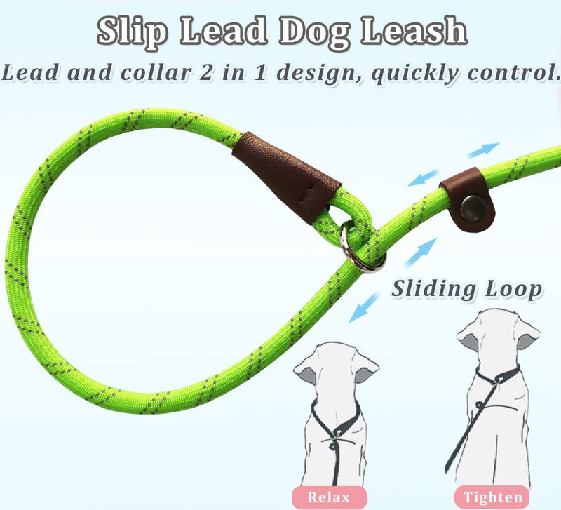 WYUZE 2 Pack 8 ft Slip Lead Dog Leash, Reflective No Pull Dog Training Lead, 1/3" Nylon Rope Slip Leash for Small Medium Dogs Purple+Green 8 Foot - PawsPlanet Australia