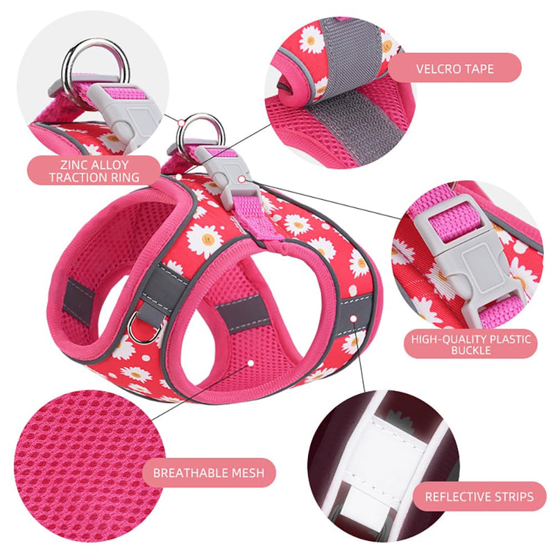 Step in Dog Harness and Leash Set, Flower Adjustable Easy Walk Puppy Harnesses, Soft Mesh Pet Vest Harness Small Size Dog Adjustable No Pull Dog Harness for Small Medium Dogs(Purple, S) Purple S(neck:10.5"-12",chest:13.5"-16") - PawsPlanet Australia