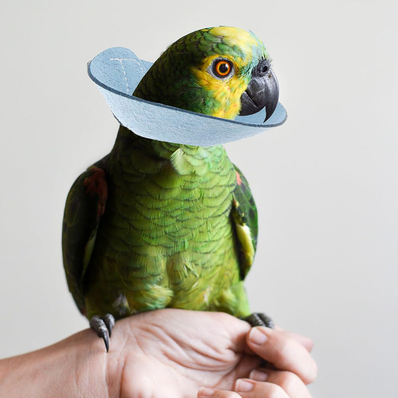 VANZACK Bird Cone Collar Adjustable Bird Parrot Tapered Collar Parrot Recovery Cones Neck Quaker Leather Bird Neck Protector Parrot Feather Protection Collar Sky-Blue - PawsPlanet Australia
