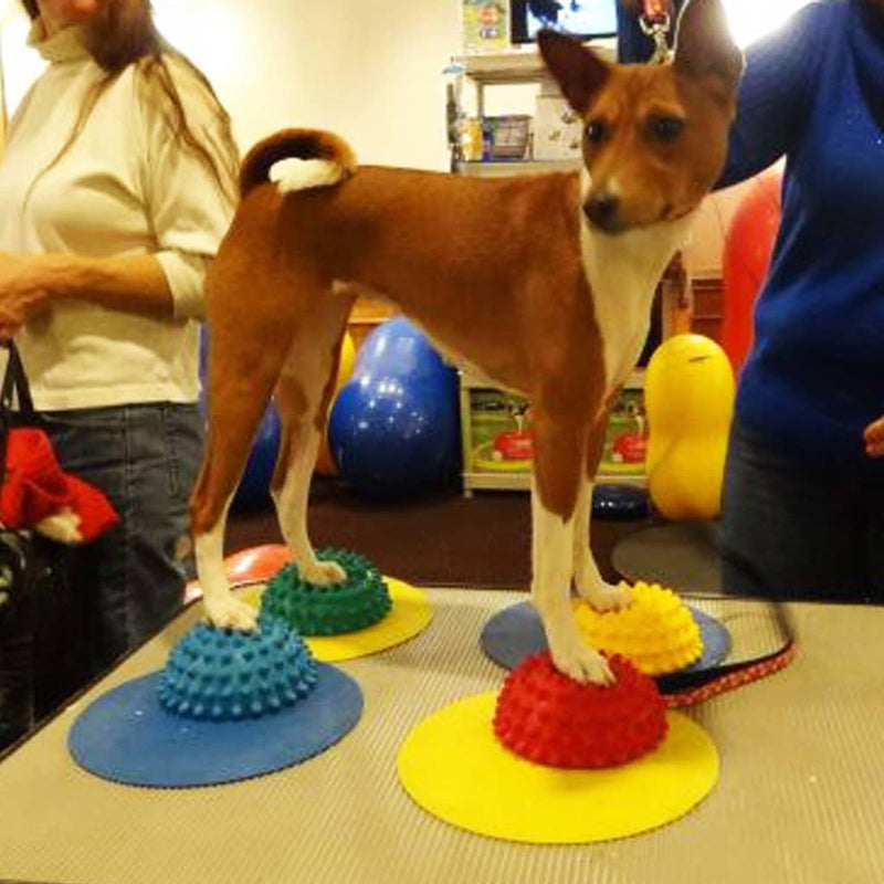 FitPAWS Targets - PawsPlanet Australia