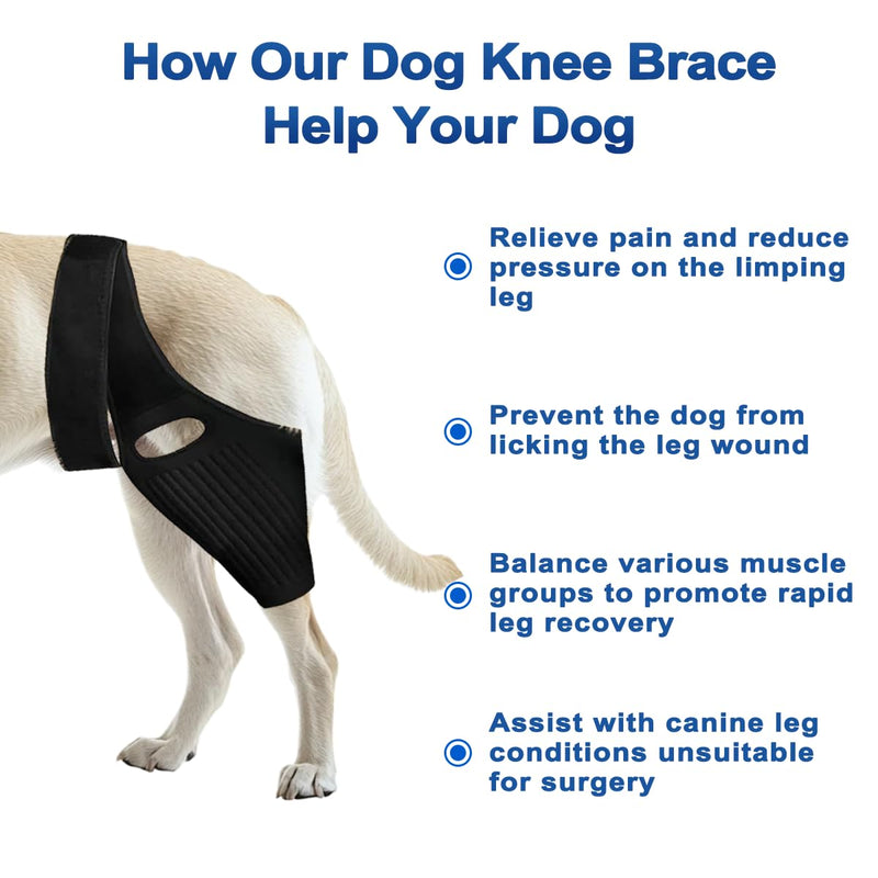 Dog Hip Brace，Adjustable Dog Knee Brace for ACL, CCL, Hip Dysplasia & Ligament Injuries, Fits Small, Medium & Large Dogs, Pain Relief & Stability with 10 Metal Stabilizers (Large)