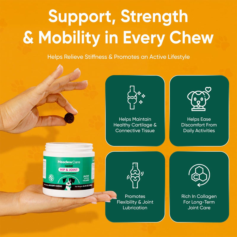 Hip and Joint Supplement for Dogs | MSM, Chondroitin & Glucosamine for Dogs | Supports Bone, Cartilage & Connective Tissue Health | Dog Joint Supplement | 60 Soft Chews180 g (6.35 oz) | MeadowCare - PawsPlanet Australia