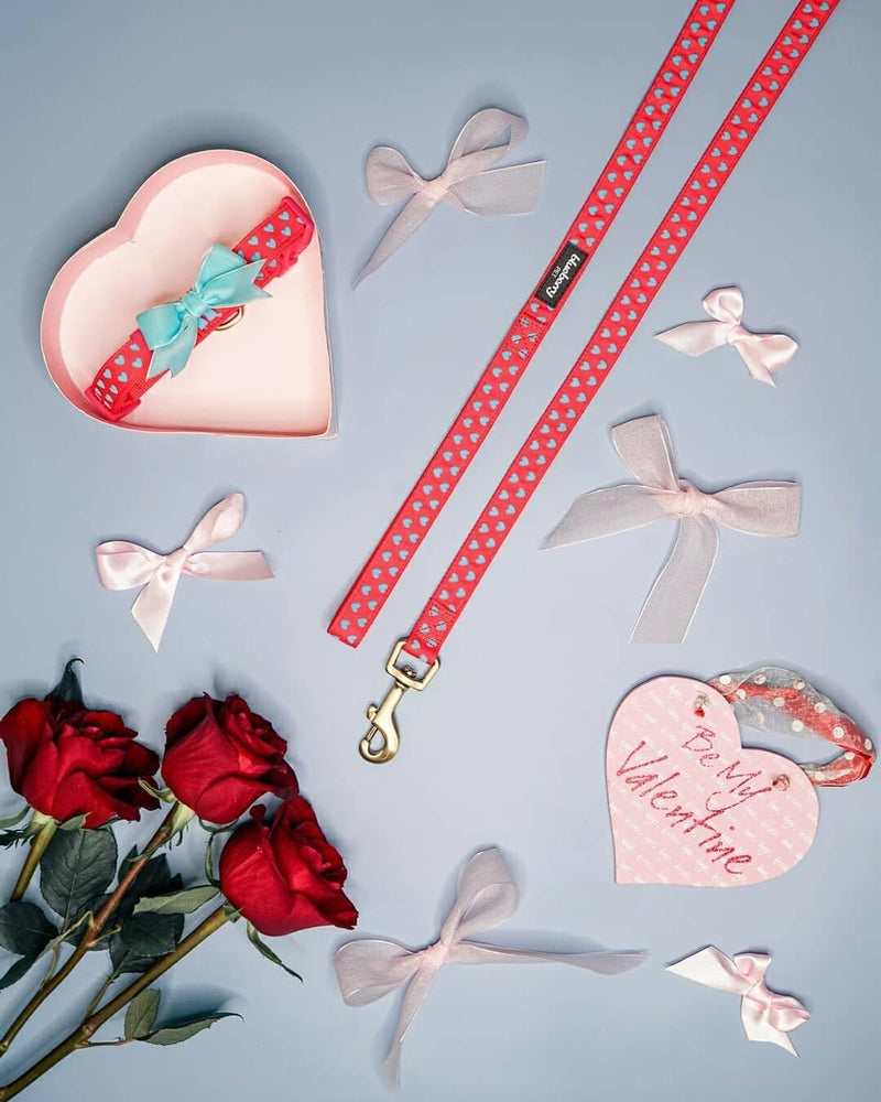 Blueberry Pet Step-in Dog Harness Velvety Heart Flocking Valentine’s Day Adjustable Harnesses for Medium Dogs, Lust Red, Chest Girth 20" - 26" Flocking Print - Lust Red - PawsPlanet Australia