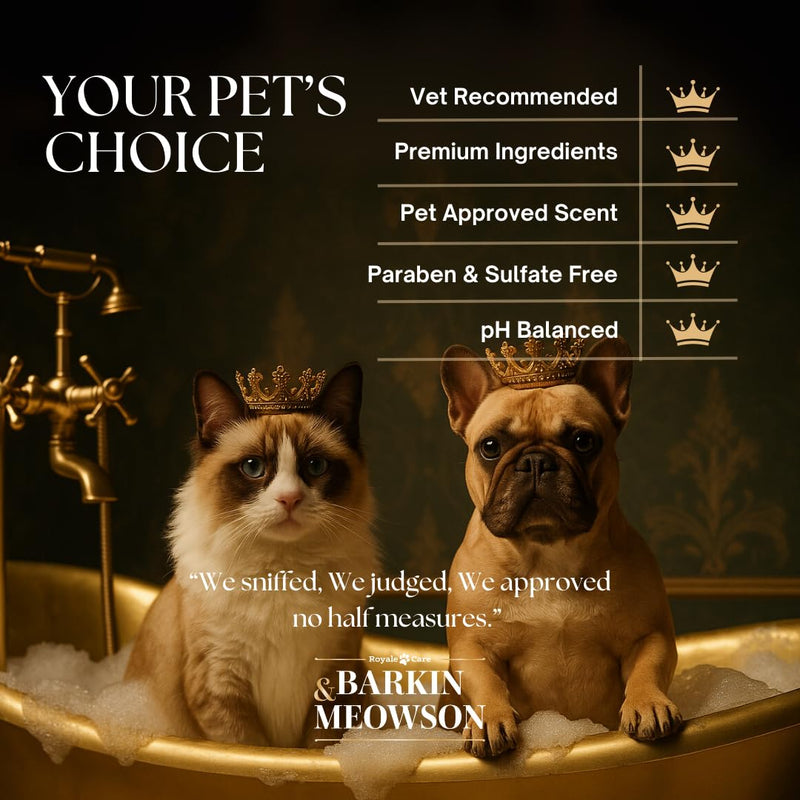Barkin & Meowson MedExpert No Rinse Pet Cleansing Spray with Chlorhexidine Formula 150ml / 5.07 fl.oz for Dogs and Cats - For Irritated Skin - Fragrance Free No Rinse Cleaning Spray - PawsPlanet Australia