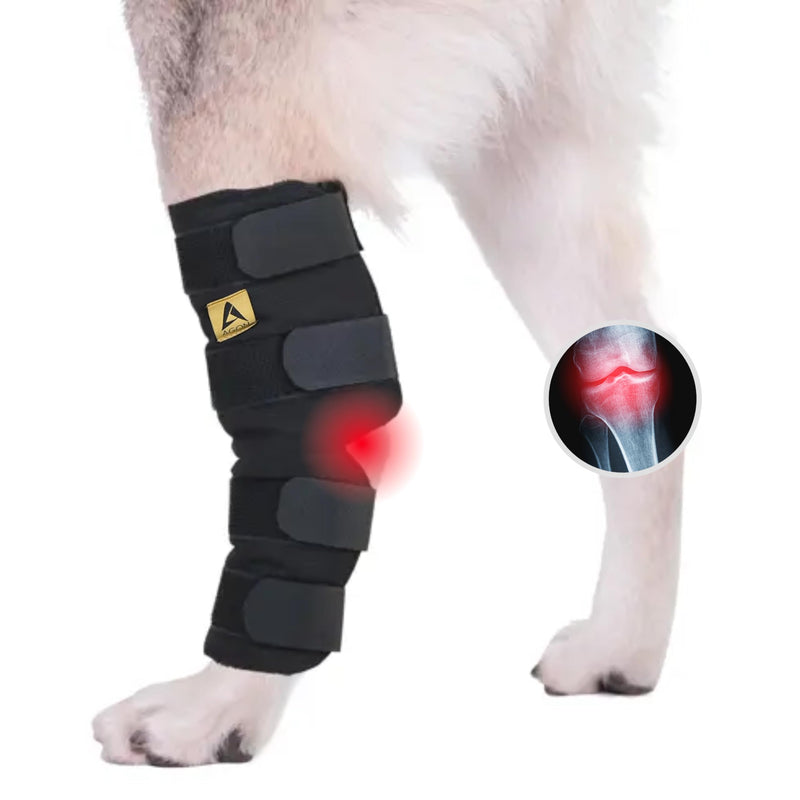 AGON® Dog Leg Braces for Back Leg wrap hock Compression Protects Wounds and Helps heal hind Legs Rear Ankle Joint, preventing Injuries, sprains Providing Stability for Dogs, Canines Arthritis (Large) Large - PawsPlanet Australia