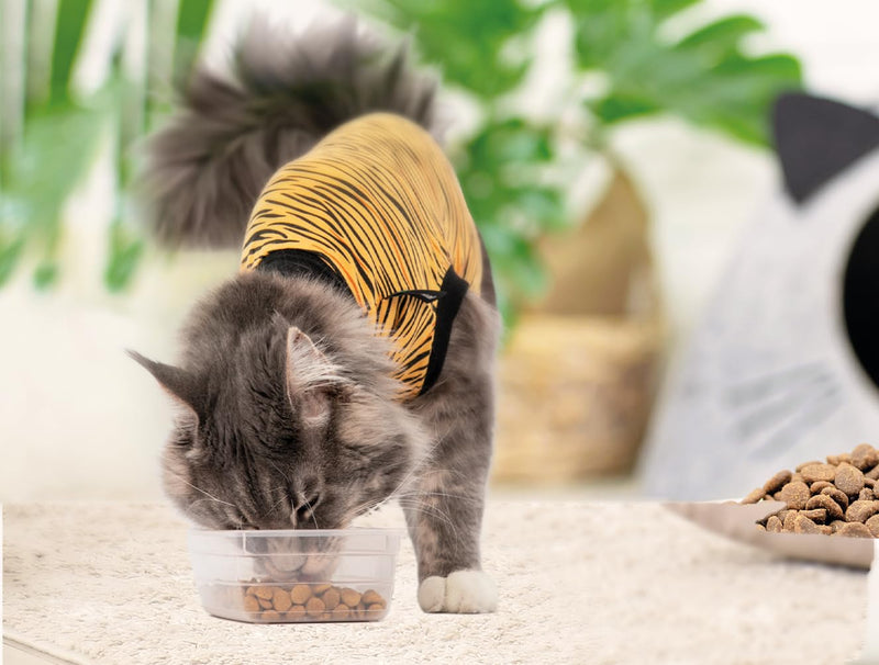 Suitical Cat Recovery Suit for Spay, Neuter, Suture, Incision, & Skin Conditions - Breathable Fabric with Back Opening - 15.7-17.7 Inches Neck to Tail, 18-24 Inches Chest - XS, Tiger Print - PawsPlanet Australia