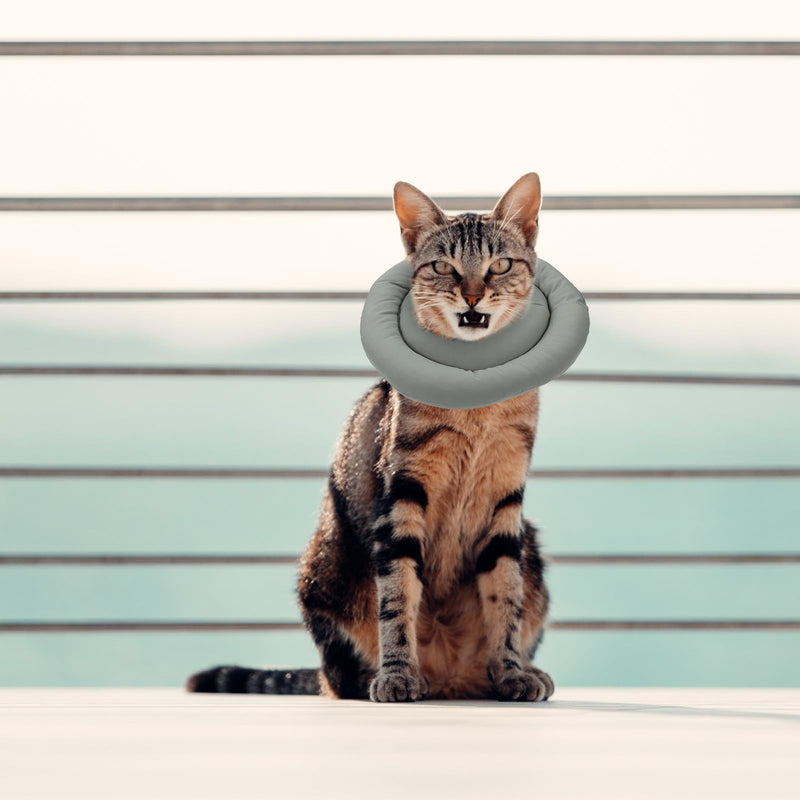 Abaodam Cat Collar made of Robust Fabric and PP Cotton Pet Protective Collar for Fast Recovery and Pain Reduction after Surgery or Injury