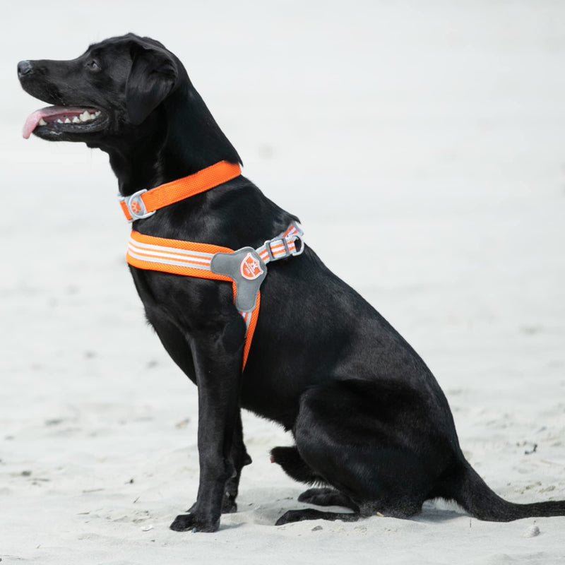 HUGO & HUDSON Easy Walk Dog Harness, Adjustable Quick Dry No-Pull Pet Harness, Orange, Size 2 - PawsPlanet Australia