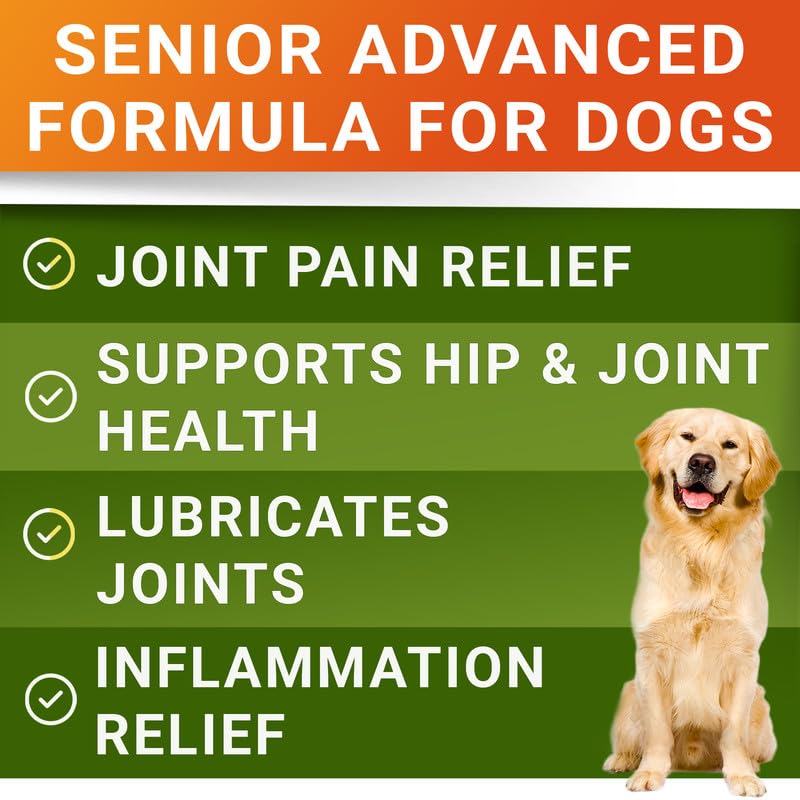 Senior Advanced Glucosamine Chondroitin Joint Supplement for Dogs - Hip & Joint Pain Relief Pills - Large & Small Breed - Hip Joint Chews Canine Joint Health - Chews Older Dogs - Bacon Flavor-120Ct 120 Senior Advanced Treats (Pack of 1)