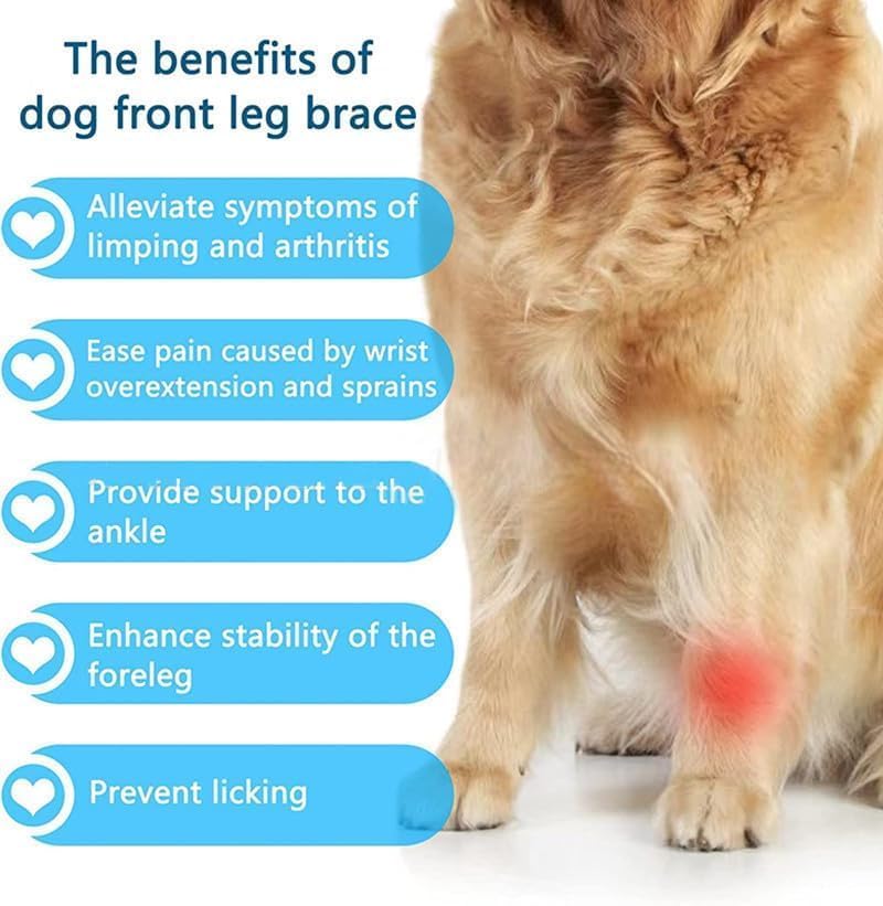 Dog Leg Brace Front Wrist or Carpal Support for Canine Dogs, Brace Compression Wraps with Metal Splints, Prevents Ankle Injuries&Sprains, Helps with Loss of Stability Caused by Arthritis S/M - PawsPlanet Australia
