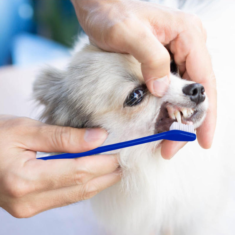 Dog Toothbrush Set, 30 Pieces Double Head Toothbrush Dog with Long Handle, Dog Toothbrush Set Dog Toothbrush for Small, Medium and Large Dogs, Cats and Pets, 4 Colors