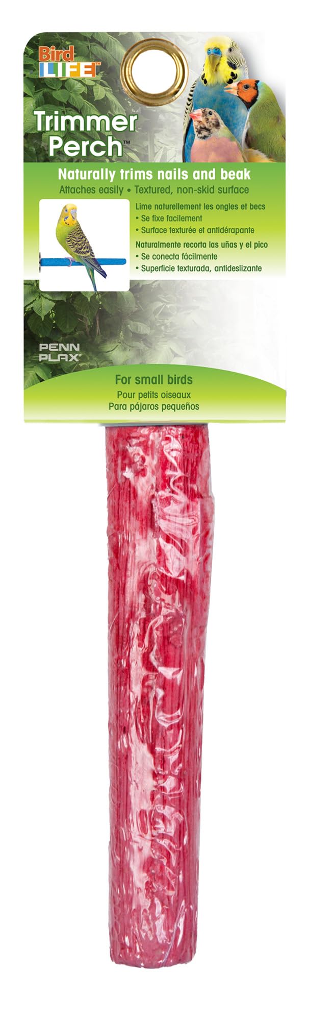 PENN-PLAX Bird-Life Calcium Bird Perch – Naturally Trims Nails & Beak – Perfect for Parakeets, Lovebirds, Cockatiels, and Other Small Birds – Red – 5” Long 5" Length - PawsPlanet Australia